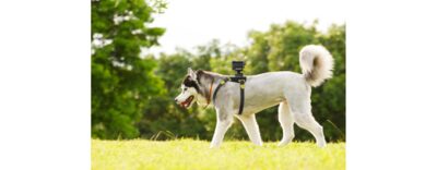 AKA-DM1 Action Cam 專用寵物背帶| AKA-DM1 | Sony Taiwan